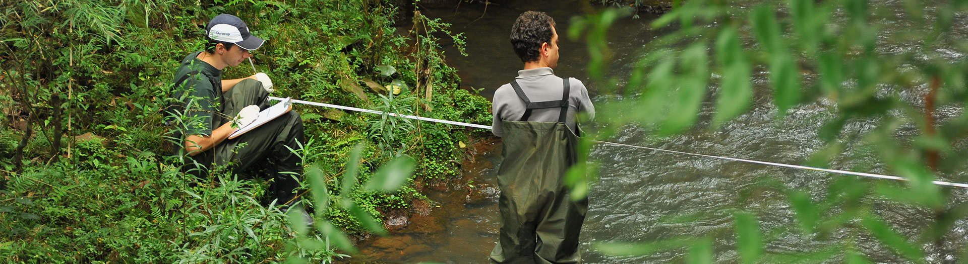 Curso sugerido Engenharia Ambiental